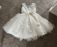 Miama Champagne Lace Tulle Flower Girl Dress Junior Bridesmaid