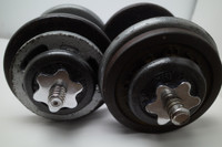 Adjustable dumbbells (2x)  35lbs each