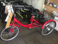 ADULT TRICYCLE