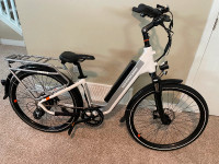 2023 Radcity 5 E-bike