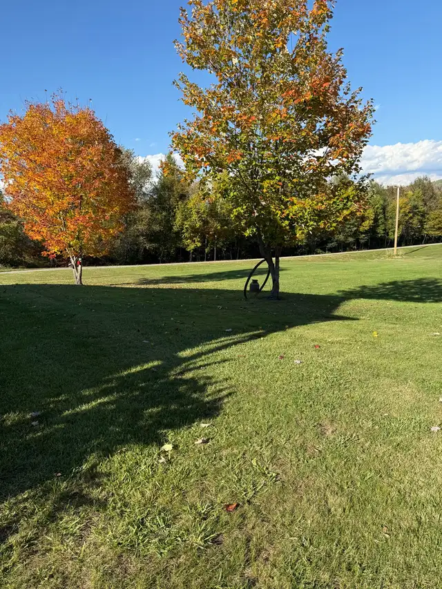 Country Living with just over 10 Acres in Houses for Sale in Vancouver - Image 7