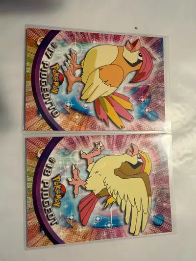 Pidgeotto & Pidgeot, View more