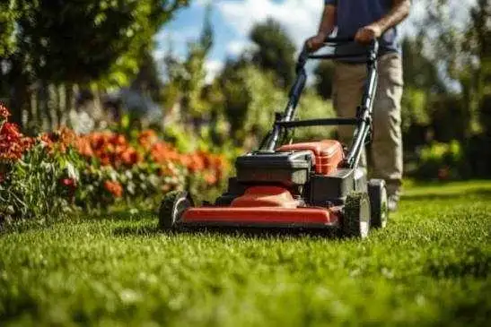 Affordable Lawn Mowing Services