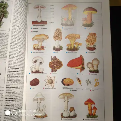DICTIONNAIRE LAROUSSE 1989 PIECE UNIQUE ET RARE, View more
