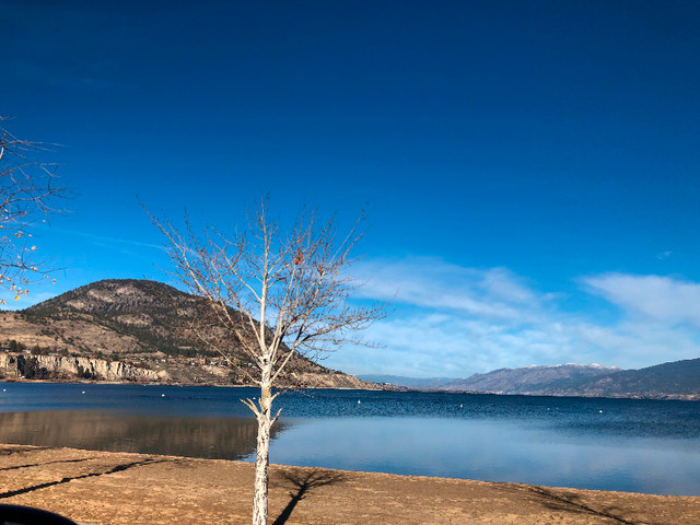Apartment/ Condo/ Home for Sale Penticton bc,Investment Property in Houses for Sale in Penticton - Image 4
