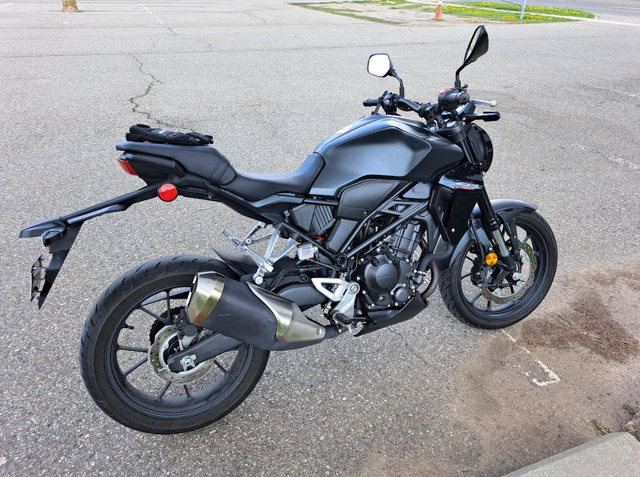 2024 Honda CB300R - The Best Beginner Motorcycle in Street, Cruisers & Choppers in Mississauga / Peel Region - Image 3