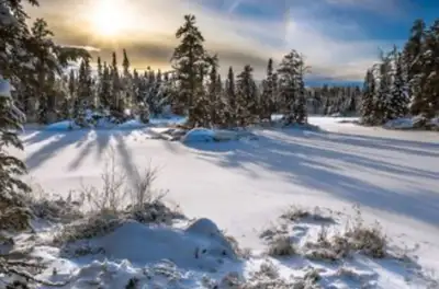 Snow Shoveller Required, View more