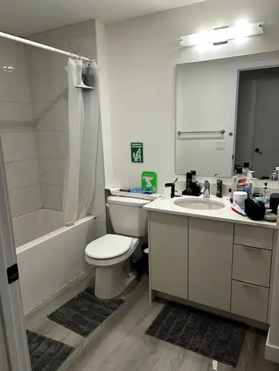 Room for rent in a 2 bedroom apartment