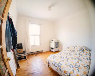 2.5 month subrental in Le Plateau (Sous-location de 2,5 mois)