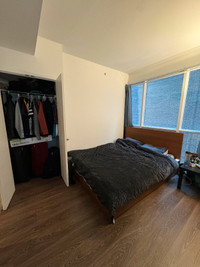 Luxurious Downtown Living: Seeking Responsible Roommate