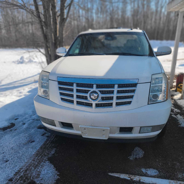 2007 Escalade ESV dans Autos et camions  à Ouest de l’Île