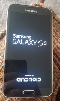 Samsung galaxy S5 phone only