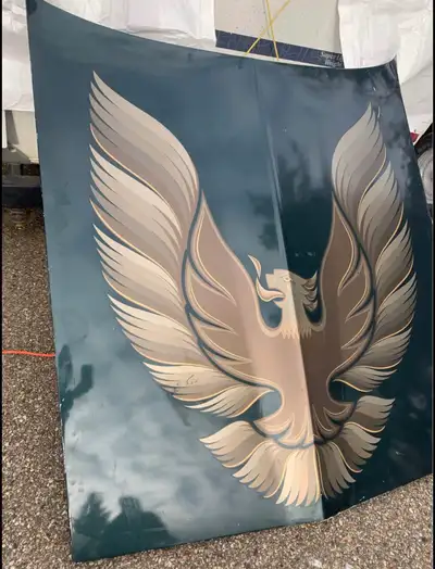 1979 Pontiac Firebird Hood Original paint and Tri-colour decal. Great condition. $550 obo
