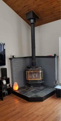 Napoleon Freestanding GDS50 - N Fireplace