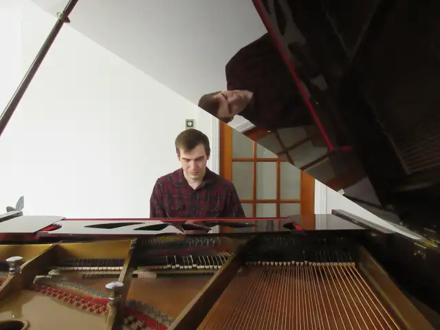 Lessons in Piano, Theory and Composition63417618312067122