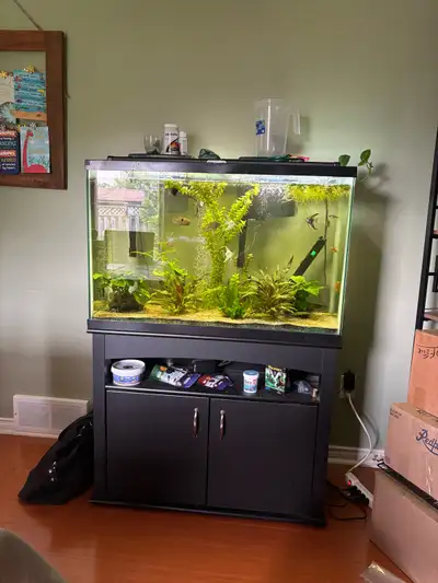 55 Gallon Fish Tand and Stand, View more
