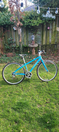 TREK 7.2 FX Hybrid Bicycle - Excellent, Clean Condition!