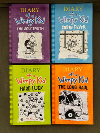 NEW! Diary of a Wimpy Kid Books- 1 left 