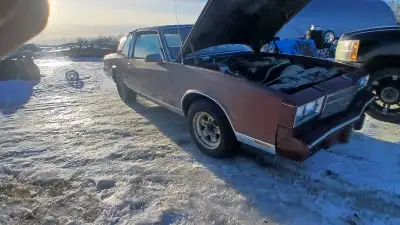 86 monte carlo, complete, needs work to be a driver, swapped to 350, runs, doesnt smoke and pulls go...