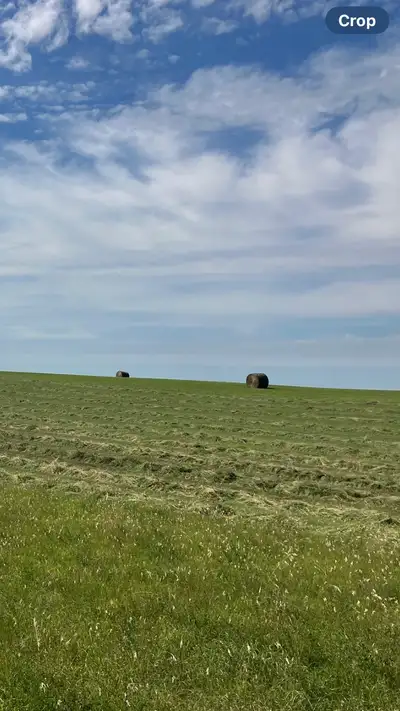 For sale 36 bales. 25 tame hay 11 slough grass. Bales should average 1300lb. From 2023/24 still in d...