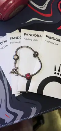 Pandora bracelet with 3 charms and 4 polishing cloths