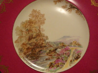 Shelley England Decorative Pink Plate