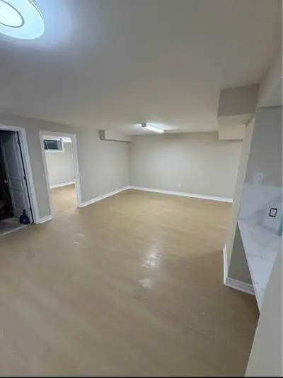 Basement Finishing & Renovation | Framing, Drywall, Flooring., View more