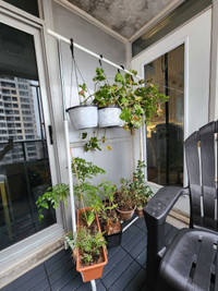 White plant stand with plants