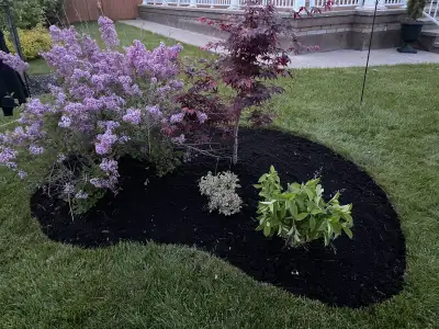 landscaping/ clean up and weed picking, View more