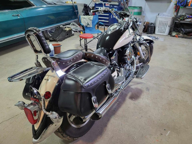 2009 Yamaha V-Star in Street, Cruisers & Choppers in Cape Breton - Image 3