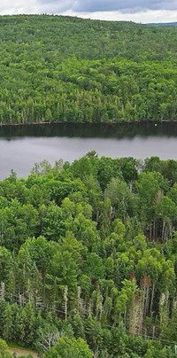 Building lot for sale in NB waterfront on 1 acre 