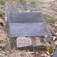 Nesting boxes and carrier