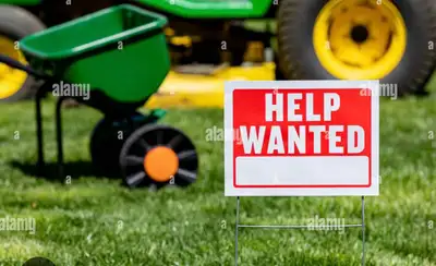 Help  needed for lawn/landscaping  work , View more
