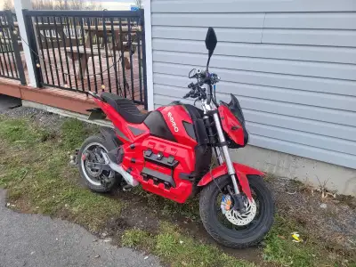 2020 Emmo Kamen 84v, View more