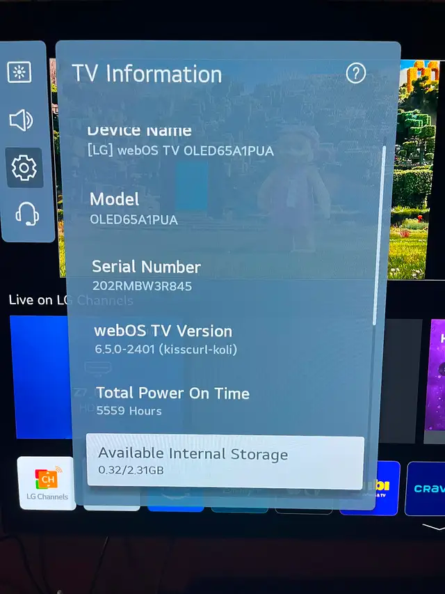 A 65” LG OLED TV62863274794883122