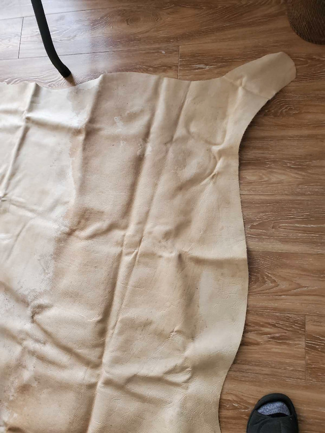 Leather cow hide.  in Rugs, Carpets & Runners in Kitchener / Waterloo - Image 4