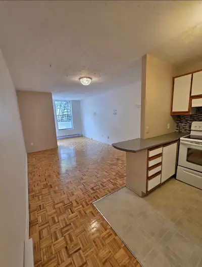 Appartement 1 chambre et une salle de bain . 3½ rdc metro Pie IX Inclusions : Propriétaires merveill...