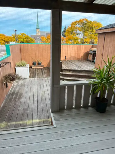 Upper private Apartment for Rent with roof top deck - Downtown