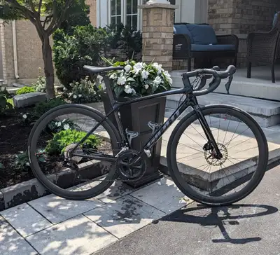 Giant TCR small, View more