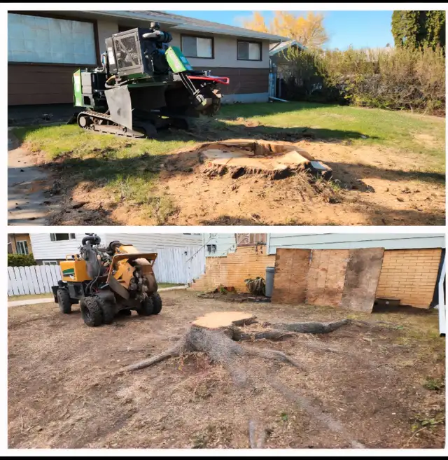 Quality Low Cost Stump Grinding 63848994216963123