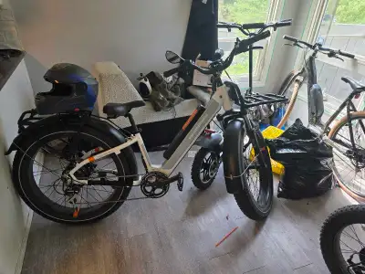 Rad Power Bikes RadRover Plus, View more