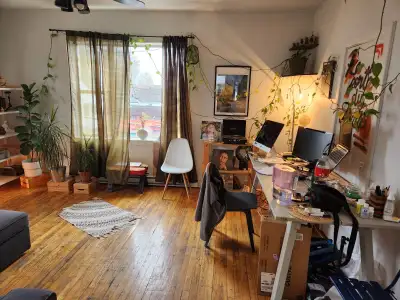 Beau 3 1/2 à louer à partir du 1er Juillet - Laundry and Wifi included - À 3 mins d'Ottawa - Près du...