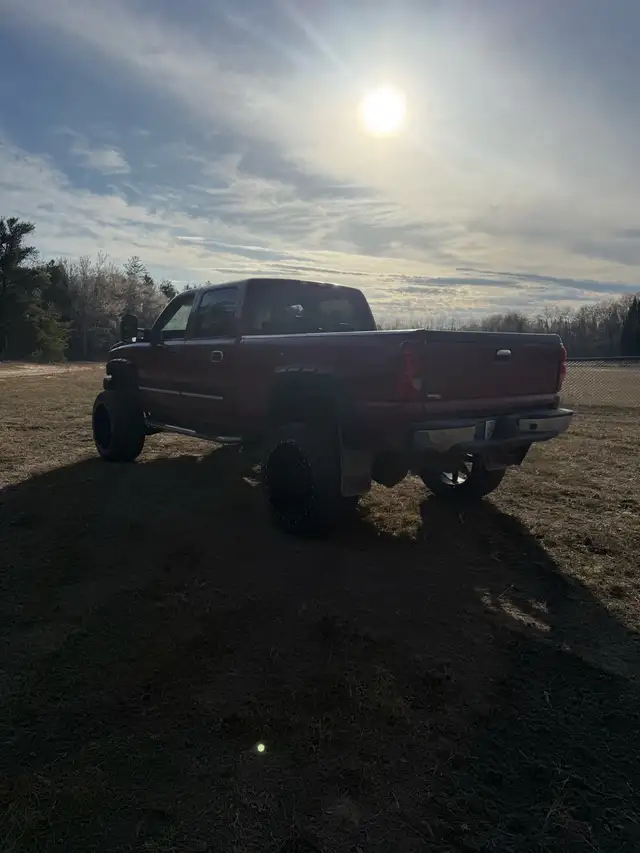 2005 lly 452025834999664644