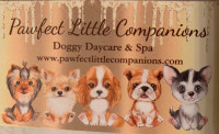 Pawfect Little Companions Doggy Daycare and Spa