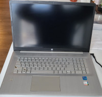 MINT HP 17" i5 11th generation laptop computer