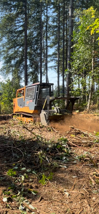 Forestry Mulching / Land Clearing  