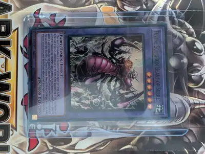 Yugioh  Holo Single , View more