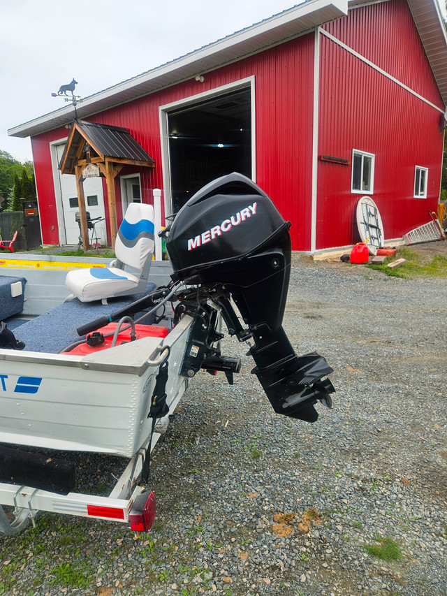 14 FOOT STARCRAFT BOAT, TRAILER, 25 MERCURY 4 STROKE in Powerboats & Motorboats in Sudbury - Image 2