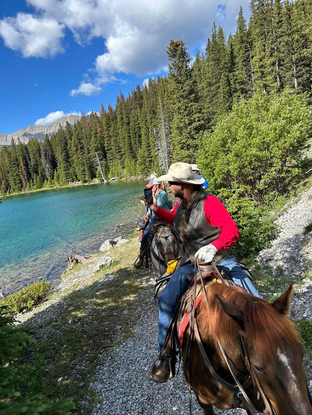 Back country trail rides  in Horses & Ponies for Rehoming in Edmonton