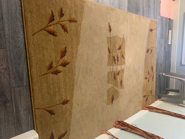 Living room carpet Arts & Collectibles Winnipeg Kijiji